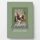 グランドキッズここで甘やかされたグランドペアレント写真テンプレート フォトプラーク (正面)