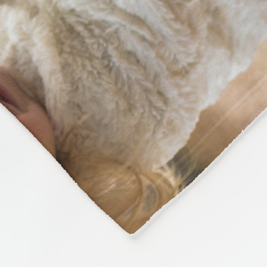 グランドキッズのおばあちゃんの人生の壮大な6写真ギフト フリースブランケット (角)