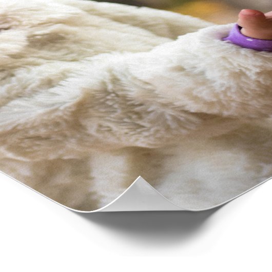 グランドキッズのおばあちゃんの人生の壮大な6写真ギフト ポスター (角)