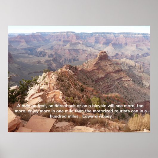 グランドキャニオンのポスターとエドワードAbbey引用文 ポスター (正面)