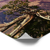 グランドキャニオンのポスターの色 ポスター (角)