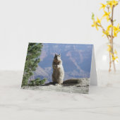 グランドキャニオンのリス カード (黄色い花)