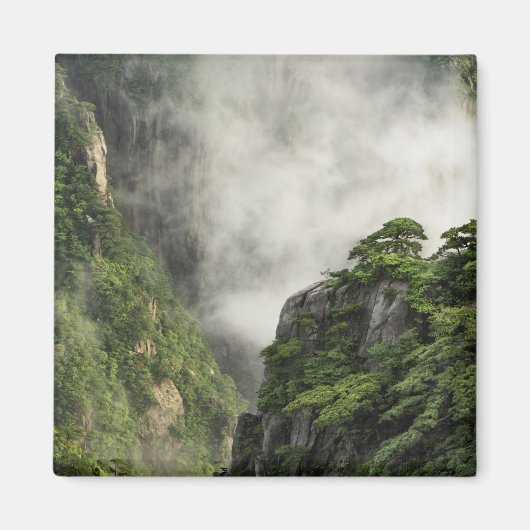 グランドキャニオンの山と谷の間の霧 マグネット (正面)