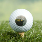 グランドキャニオンゴルフボール ゴルフボール (インサイチュ 木)