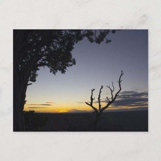 グランドキャニオンサンセットポストカード3 ポストカード (正面)