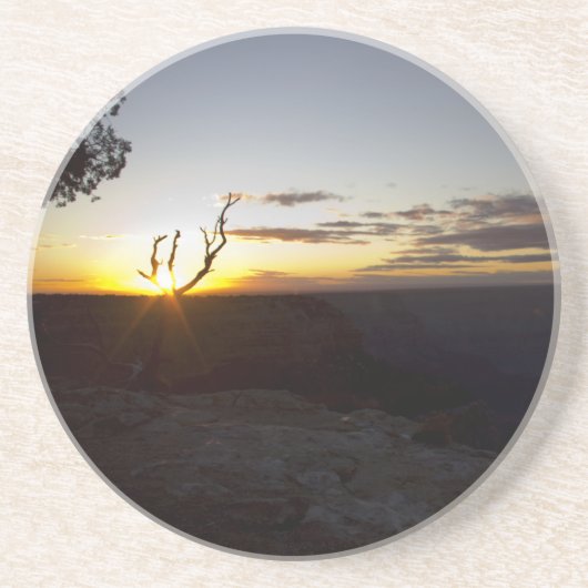 グランドキャニオンサンセット コースター (正面)