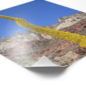 グランドキャニオンセンチュリープラントフォト フォトプリント            (角)