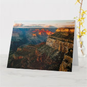 グランドキャニオンビューとビスタ カード (黄色い花)