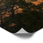 グランドキャニオンビュー ポスター (角)