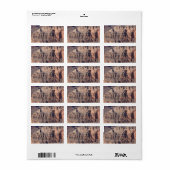 グランドキャニオン住所 シール (フルシート)