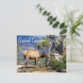 グランドキャニオン国立公園アリゾナのはがき ポストカード (スタンド正面)