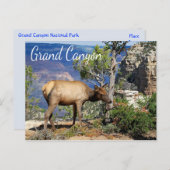 グランドキャニオン国立公園アリゾナのはがき ポストカード (正面/裏面)