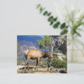 グランドキャニオン国立公園アリゾナ統一された州 ポストカード (スタンド正面)