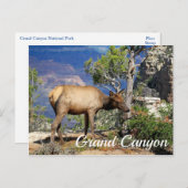 グランドキャニオン国立公園アリゾナ統一された州 ポストカード (正面/裏面)