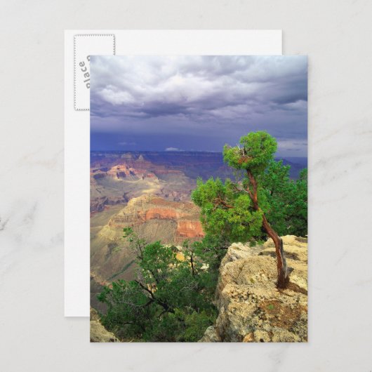 グランドキャニオン国立公園,アリゾナ統一された, 3 ポストカード (正面/裏面)