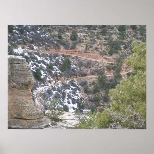 グランドキャニオン国立公園 ポスター (正面)