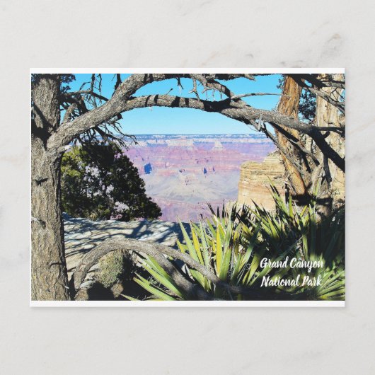グランドキャニオン国立公園 ポストカード (正面)