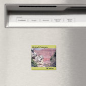 グランドキャニオン磁石004 マグネット (インサイチュ (食洗機))