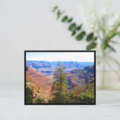 グランドキャニオン縁ど木 ポストカード (スタンド正面)