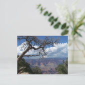 グランドキャニオン色彩の鮮やかザデザートアリゾナポストカード ポストカード (スタンド正面)