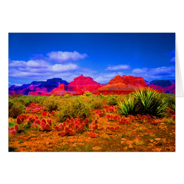 グランドキャニオン (正面横)