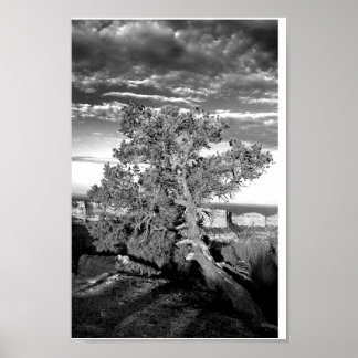 グランドキャニオン03 ポスター