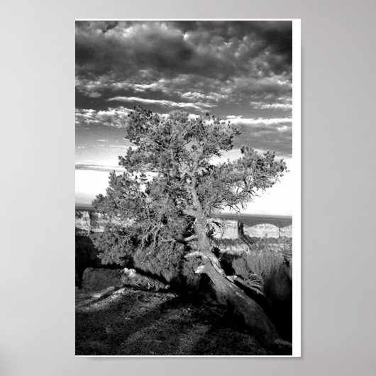 グランドキャニオン03 ポスター (正面)