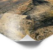 グランドキャニオン – パラシャント国定記念碑2 フォトプリント            (角)