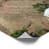 グランドキャニオン ポスター (角)