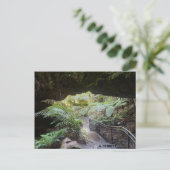 グランドキャニオン ポストカード (スタンド正面)