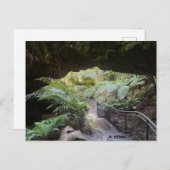 グランドキャニオン ポストカード (正面/裏面)