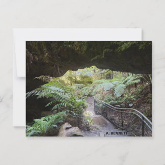 グランドキャニオン ポストカード