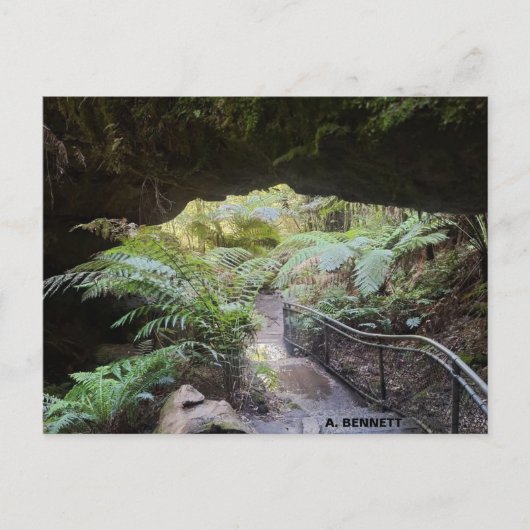 グランドキャニオン ポストカード (正面)