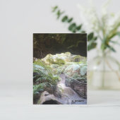 グランドキャニオン ポストカード (スタンド正面)