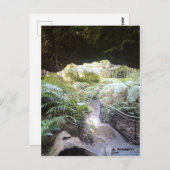 グランドキャニオン ポストカード (正面/裏面)