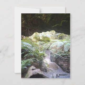 グランドキャニオン ポストカード