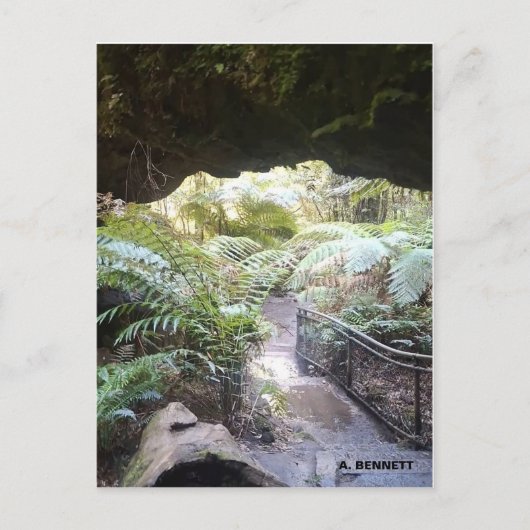 グランドキャニオン ポストカード (正面)