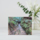 グランドキャニオン ポストカード (スタンド正面)