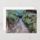 グランドキャニオン ポストカード (正面/裏面)