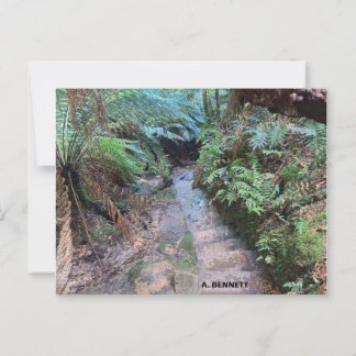 グランドキャニオン ポストカード