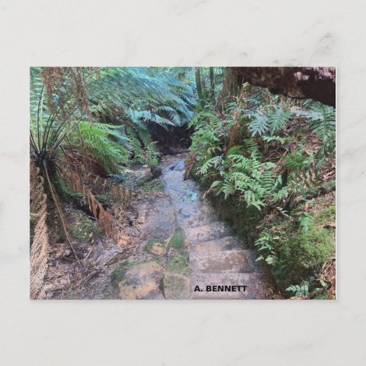 グランドキャニオン ポストカード (正面)