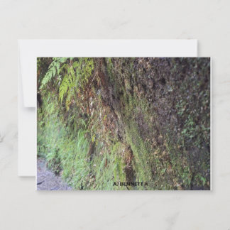 グランドキャニオン ポストカード