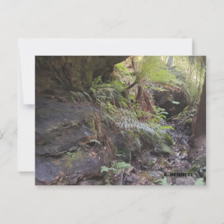 グランドキャニオン ポストカード