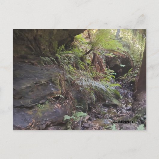 グランドキャニオン ポストカード (正面)