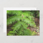 グランドキャニオン ポストカード (正面/裏面)