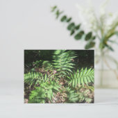 グランドキャニオン ポストカード (スタンド正面)