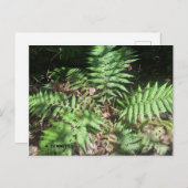 グランドキャニオン ポストカード (正面/裏面)