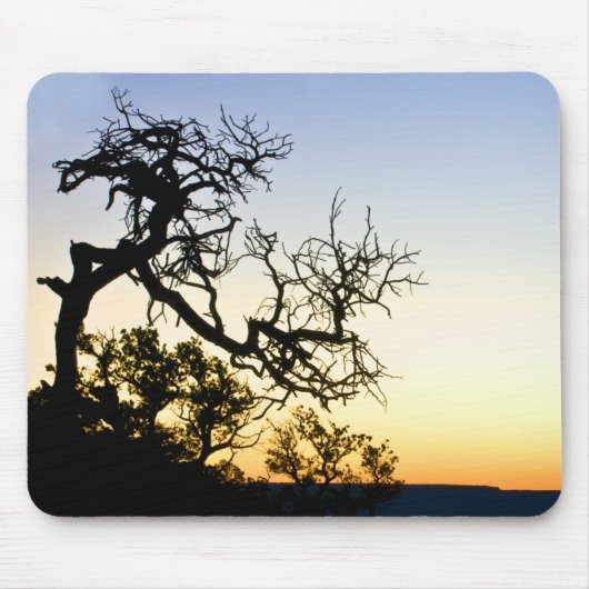 グランドキャニオン マウスパッド (正面)