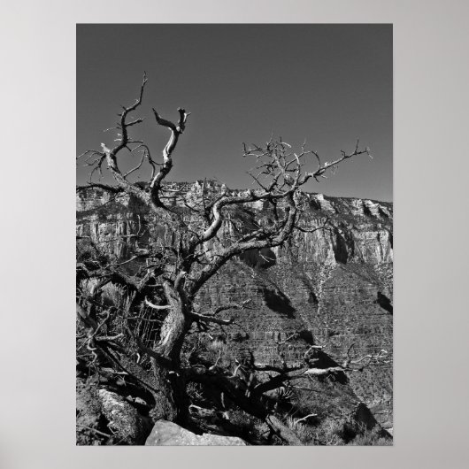 グランドキャニオン#1 ポスター (正面)