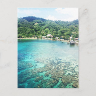 グランドケイマンコーラルリーフ ポストカード